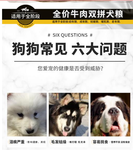 寻宠团队收近5000元定金没找到钱也不退